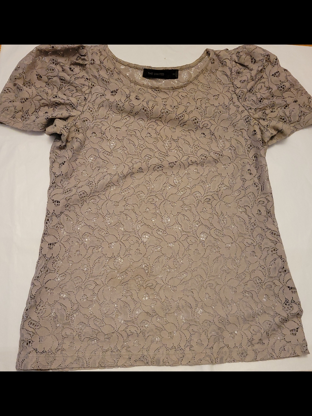 The Limited Women's Taupe Lace Short Sleeve Top